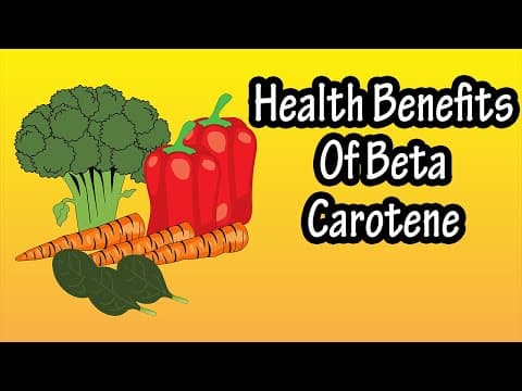 What Is Beta Carotene - Health Benefits Of Beta Carotene Explained - Foods High In Beta Carotene