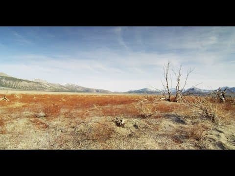 Deadly Heat Waves Will Likely Get Worse