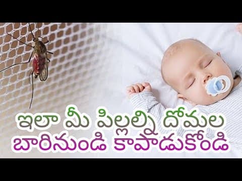 Protect your child from mosquito bites - mosquito bite prevention - baby care