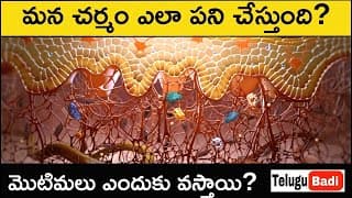 How Your Skin Works Explained in Telugu | Skin Function, Structure