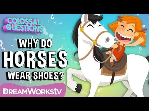 Why Do Horses Wear Shoes? | Spirit Riding Free presents COLOSSAL QUESTIONS