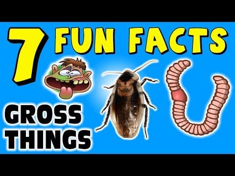 7 FUN FACTS ABOUT GROSS THINGS! DISGUSTING FACTS FOR KIDS! LOL! Learning Colors! Funny! Sock Puppet!