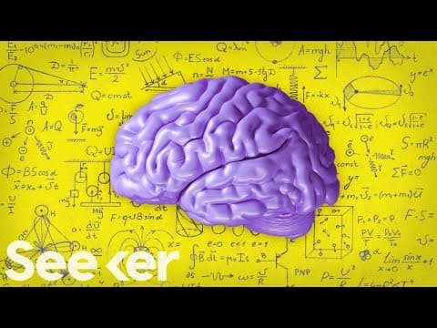 What is the difference between teen and adult brains