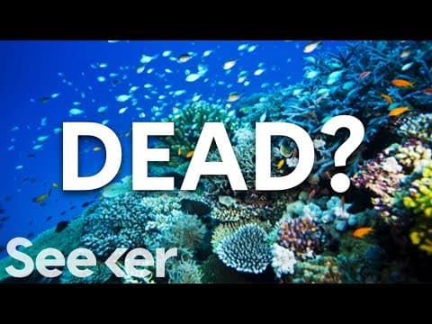 Is The Great Barrier Reef Actually Dead
