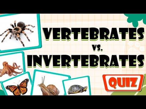 Vertebrates vs. Invertebrates Quiz for Kids | Animal Classification Challenge