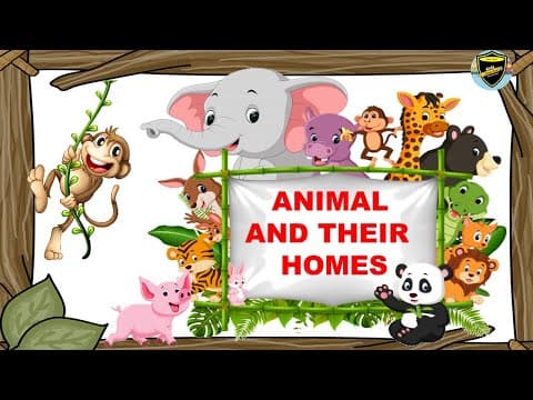 Animals and Their Homes - Animal and Their Homes for kids