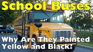 Why are School Buses Painted Deep Yellow and Black|The Science and History Explained