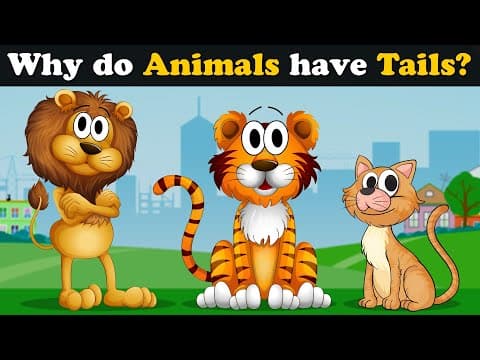 Ever wonder why Animals have Tails? + more videos | #aumsum #kids #science #education #whatif