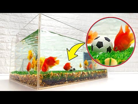 Football for fish! diy aquarium