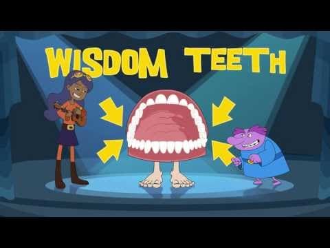 How Your Teeth Work - YouTube