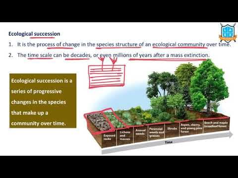 What is Ecological Succession ? || Ecological Succession అంటే ఏమిటి?