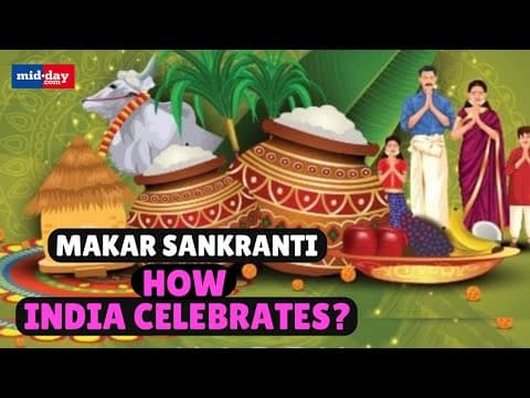 Makar Sankranti, Why is Makar Sankranti celebrated & how does India celebrate it through food?