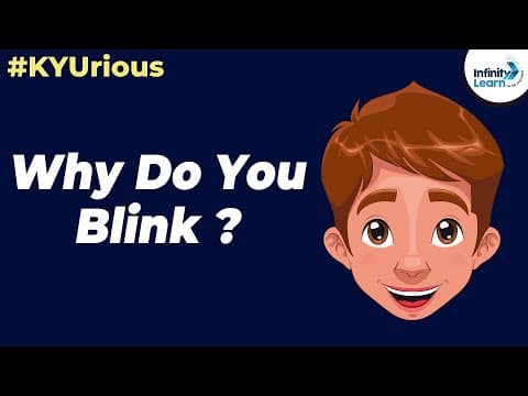 Kyu box season 3 qpisode - why do we blink?