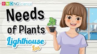 Lighthouse Lab – Needs of Plants