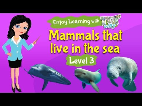 Mammals that live in the sea | Science