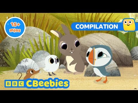 Fun and Adventures with the Puffins! 🐧 🌊 | Puffin Rock Compilation | CBeebies