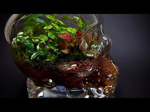 Make a Halloween 🎃 Terrarium 🌿