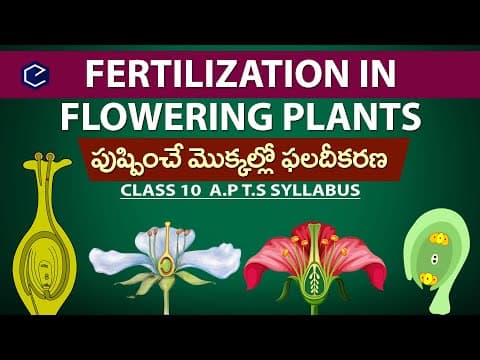 #FERTILIZATION IN FLOWERING PLANTs  -  class 10th biology  -  10th Science in english