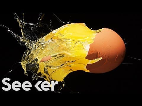 Does It Matter Which Color Egg You Buy? (Why Are They Different?)