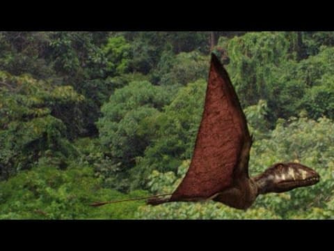 The Incredible Reptiles That Flew 200 Million Years Ago - YouTube