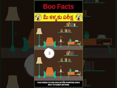 మీ కళ్ళకు పరీక్ష-  Riddles for Children - Spot the difference