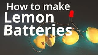 How to Make Lemon Batteries