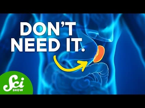 7 Organs You Don't Actually Need - YouTube