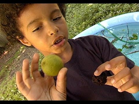 Making Things Float or Sink