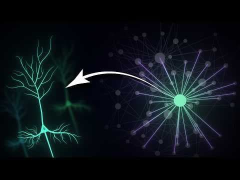 A Surprising Way Your Brain Is Wired