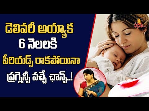 డెలివరీ తరువాత పీరియడ్స్ ఎప్పుడు మొదలవుతాయి? | Periods After Delivery | Vanitha TV