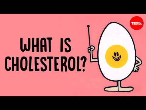What actually causes high cholesterol? - Hei Man Chan - YouTube