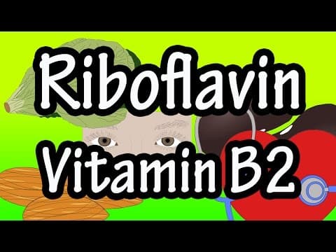 What Is Riboflavin Vitamin B2 - Foods High In, Functions And Benefits Of Riboflavin Vitamin B2 Per