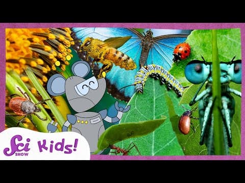 Most Amazing Insect Facts! | SciShow Kids Compilation - YouTube