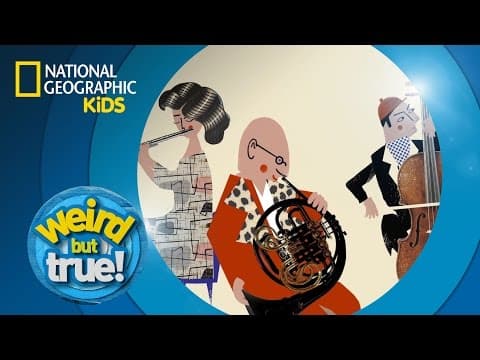 The buzz on flies - weird but true