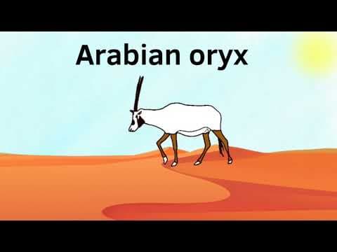 Amazing Arabian Desert Animals: A Desert Safari for Kids 🌵🏜️🐪🐫⚱️