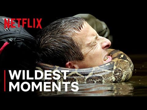 Bearโs WILDest Moments ๐คฏ Animals on the Loose: A You vs Wild Movie | Netflix After School