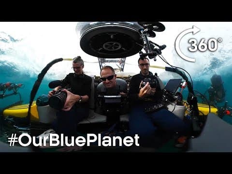 Journey 1000m Below The Waves In 360°