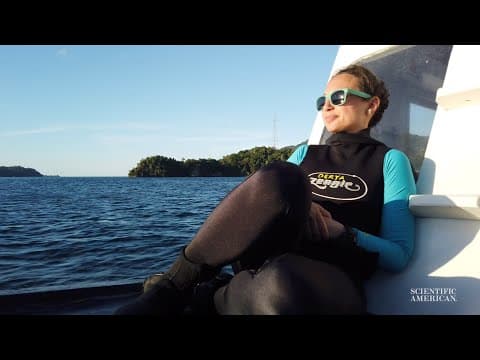 Sea-thru removes the water from underwater images