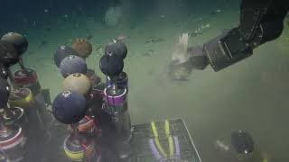 Exploring the Microbial Mats of Quinault Canyon