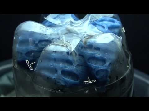 How to grow snowflakes in a bottle with Science Friday