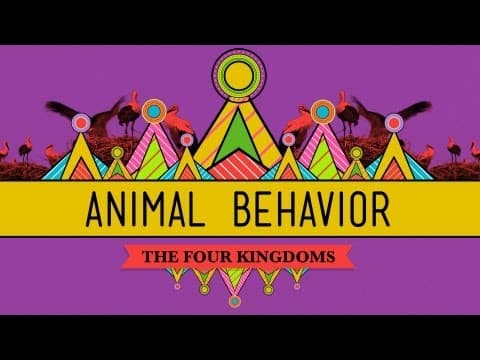 Animal Behavior - CrashCourse Biology #25 - YouTube