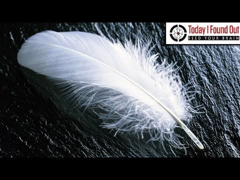 Why is it Impossible to Tickle Yourself