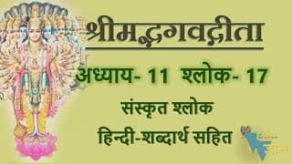 Shloka 11.17 of Bhagavad Gita with Hindi word meanings