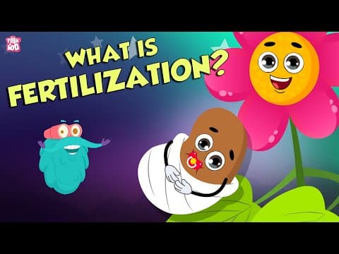 Formation of seed - what is fertilization? - the dr binocs show