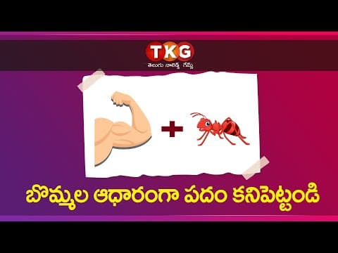 English - puzzle - english crossword puzzle - funny riddles