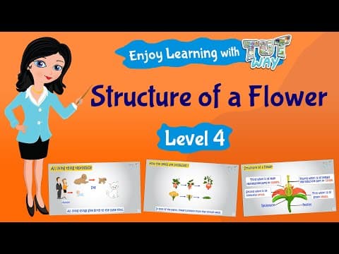 Structure of a Flower | Science