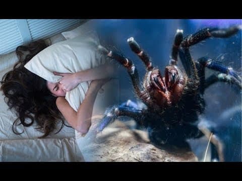 The Science of Dream