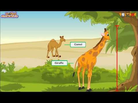 Every Type of Hoofed Mammal Explained Animal Science for Kids!