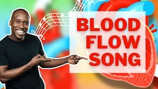 Blood Flow Song  How Blood Flows Through the Heart