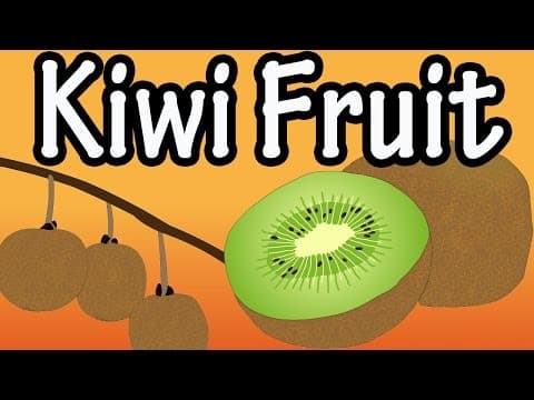 Health Benefits of Kiwi Fruit What Is Kiwi Fruit Nutrition Of Kiwi Fruit